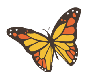 Butterfly Image